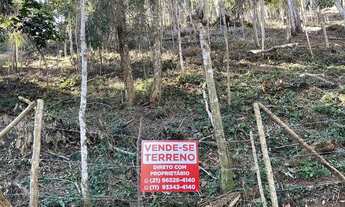 Imagem 5: Vendo 2 terrenos Itaipava