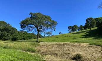 Imagem 3: LP - Atenção! vendo terreno barato não perca essa oportunidade!