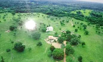 Imagem 5: Fazenda para Venda em Araguaína, Região muito produtiva