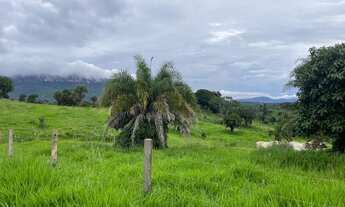 Imagem 4: Fazenda (região de Goiás velho