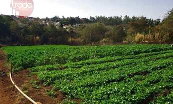 Imagem: Chácara com 2 dormitórios à venda, 24810