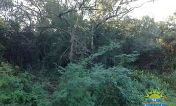 Imagem 7: Terreno amplo Terreno / lote com venda por R$1.000.000