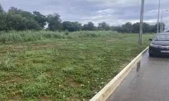 Imagem: Teotônio Segurado ACSU-SE 130, lote 1.800mt