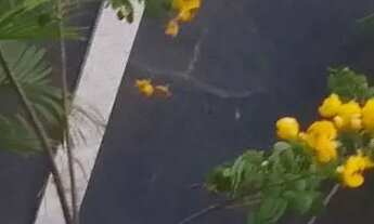 Imagem 2: Casa com piscina e garagem coberta