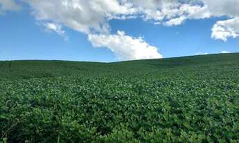 Imagem 2: Chácara à venda ou locação, 120.000 m² - Areia Branca dos Assis - Mandirituba/PR