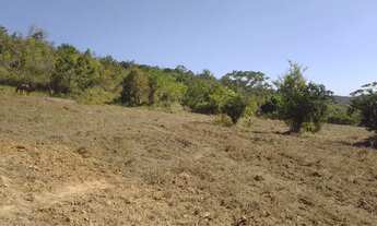 Imagem 2: Pra Vender rápido