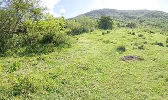 Imagem 7: Terreno à venda, 10 hectares, Morro do Fortunato- Garopaba-SC