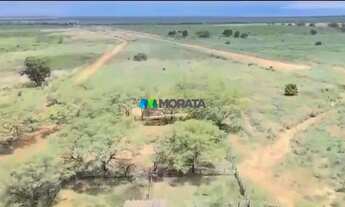 Imagem 5: FAZENDA À VENDA - 4.000 HECTARES - JAÍBA (MG