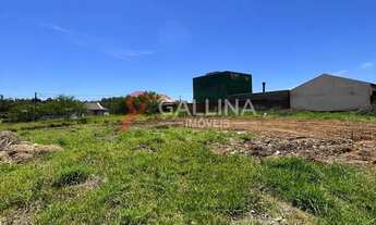 Imagem 7: Terreno no Paradis