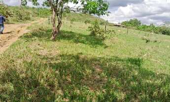 Imagem 5: SÍTIO DE 25 HECTARES, PONTE ALTA SUL