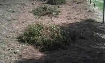 Imagem 2: Vende-se terreno na fazendinha são José do Itaporã