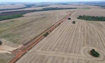 Imagem: Fazenda de 140 alqueires