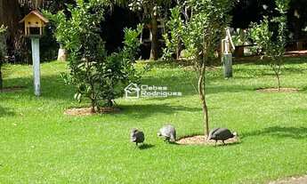 Imagem 6: Sítio à venda em Iguape, Guarapari