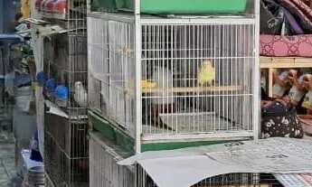 Imagem 3: Pet shop com veterinária de esquina em Guarulhos. Ref; 1018