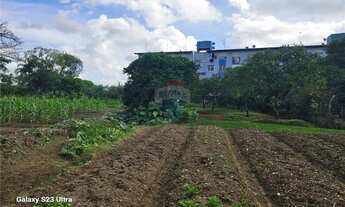 Imagem 2: Area própria para empreendimentos 1,2Ha em região com grande concentração populacional e c