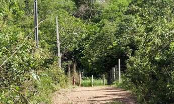 Imagem 4: Chácara 2.520 m² - 10 km de Palmas - Energia e Água - Oportunidade!