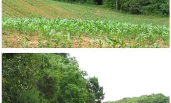 Imagem 2: Vendo chácara - terreno 2 alqueires - Campo Largo