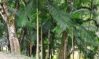 Imagem 3: Chácara com acesso a represa em Juquitiba