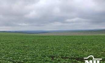 Imagem 5: Fazenda Sudoeste Goiano. (Irrigada e Sequeiro). . 620 Alq. (3.000 Há)