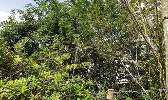 Imagem 3: Lote no Bairro Liberdade 2 em Viçosa MG