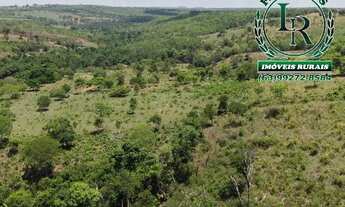 Imagem 5: Oportunidade Chácara 14 Alqueires Próximo de Palmas