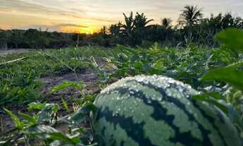 Imagem 3: ÁREA EM SÃO GONÇALO - 3520 m²