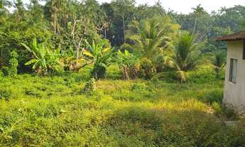 Imagem: Vende-se um excelente terreno!