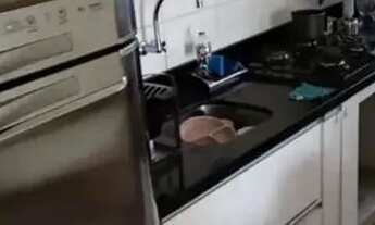 Imagem: Imóvel para aluguel tem 55 metros quadrados