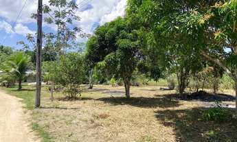 Imagem 4: Terrenos 10x30 outro 15x20