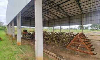 Imagem 6: Galpão - Terminal Intermodal de Cargas (TIC) - Campinas