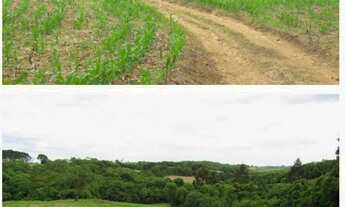 Imagem 3: Vendo chácara - terreno 2 alqueires - Campo Largo