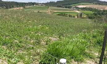 Imagem: Imóvel para venda com 600 metros quadrados