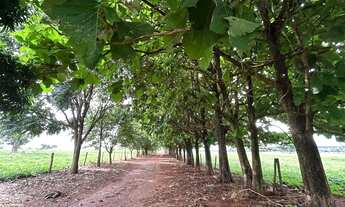 Imagem 2: Fazenda a venda em Trindade / Goiás!!!