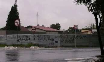 Imagem 2: Terreno - Jardim das Paineiras - Campinas