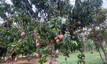 Imagem: Chácara ! Aceito imóveis