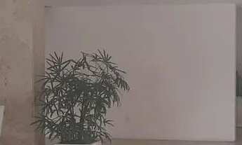 Imagem 3: 3 quartos no bairro da Graça - Salvador - BA