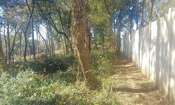 Imagem 5: Terreno com 4451 metros quadrados em Jardim Boa Vista - Campo Magro - PR