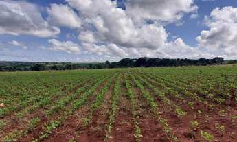 Imagem 4: Fazenda de 154 alqueires goianos plantando 100 alqueires