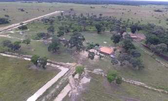 Imagem 4: FAZENDA À VENDA PANTANAL MATO-GROSSENSE