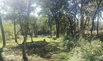 Imagem 4: Terreno com 4451 metros quadrados em Jardim Boa Vista - Campo Magro - PR