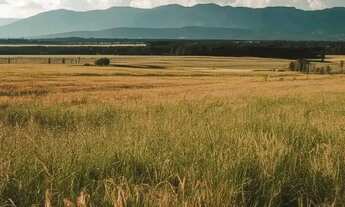 Imagem 7: Investimento certo em São Roque: natureza, vista e valorização garantida