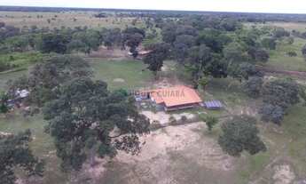 Imagem 3: FAZENDA À VENDA PANTANAL MATO-GROSSENSE