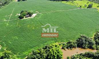 Imagem 2: Fazenda 33,5 alqueires (161 hectares) Ipameri - GO