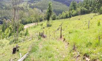 Imagem 4: Sítio 5,0 Hectares - Linha Glória - Rolante - RS