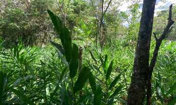 Imagem 5: Fazenda de 28 hectares com casa antiga lagoa, córrego, Baldim(Temos varias opções)