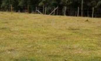 Imagem 2: Terreno 750 mts quadrados .próximo a praia do Ouvidor