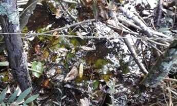 Imagem 2: Sítio 16 Hectares Liberdade - Sítio 04 Hectares Liberdade