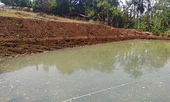 Imagem 5: Chácara em Cromínia