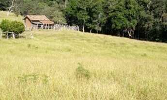 Imagem 5: Sítio 12 Hectares Bom Jardim -Sítio 16 Hectares Liberdade