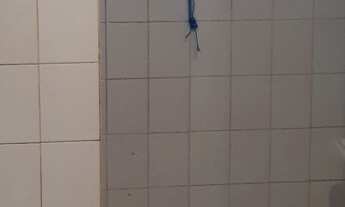 Imagem 2: Alugo apt. No Dom Adelmo Machado